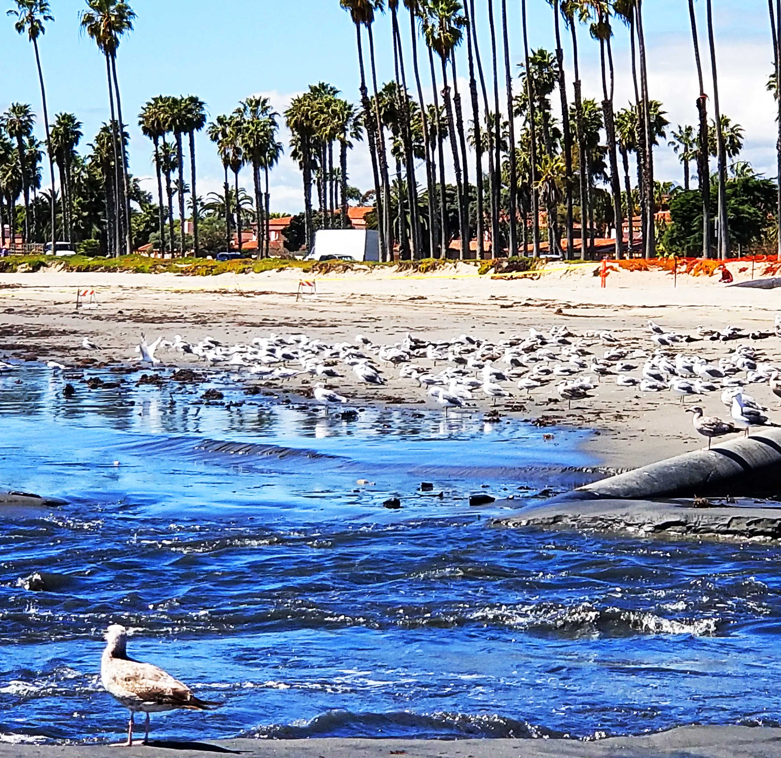 Biological Monitoring Services